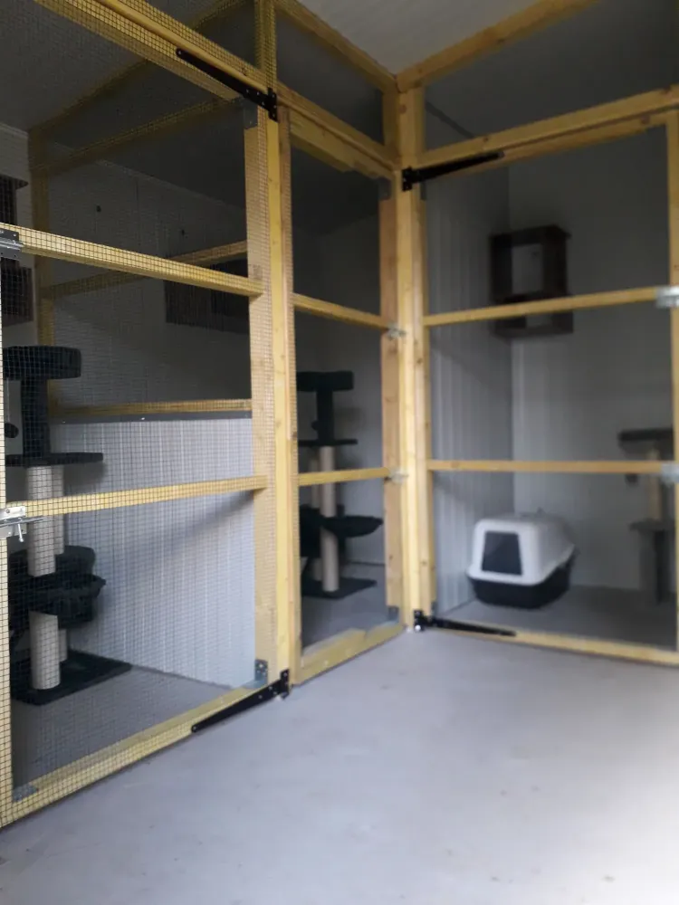 pension feline le clos dantin pres arras 6